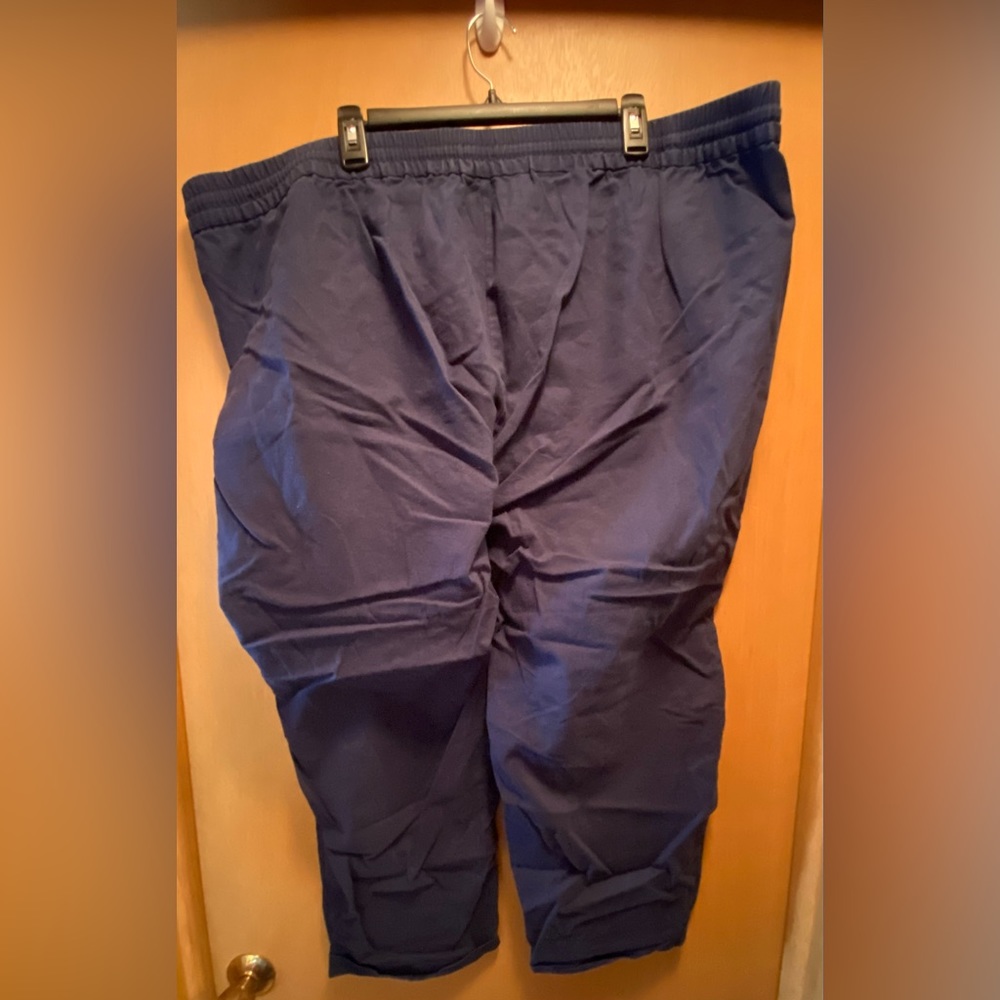 J. Crew Factory linen-cotton blend drawstring pants women’s plus size 24